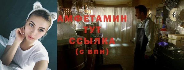 мет Алексин