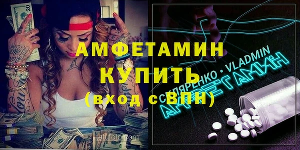 мет Алексин